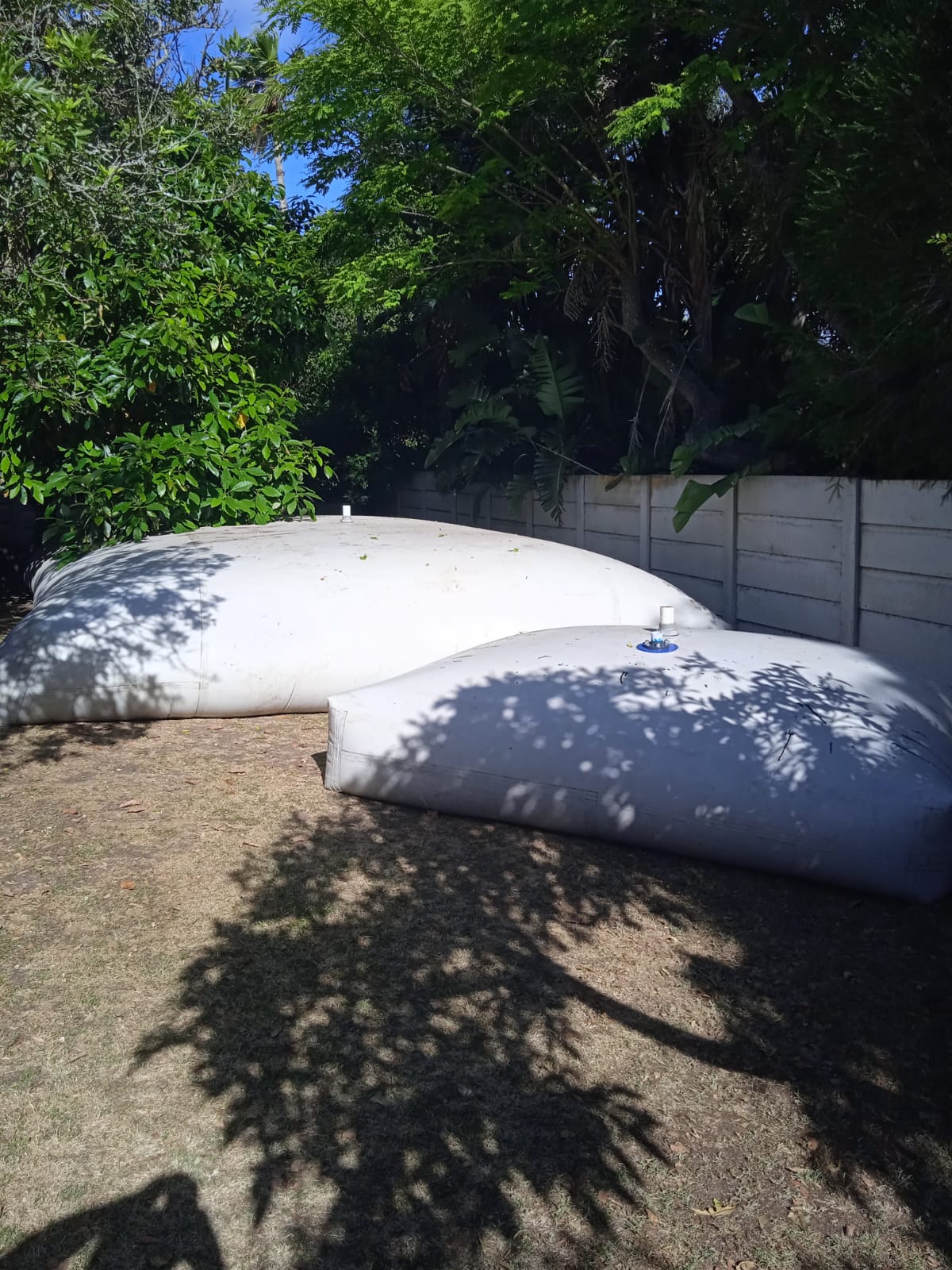 WhatsApp Image 2022-11-27 at 18.25.34